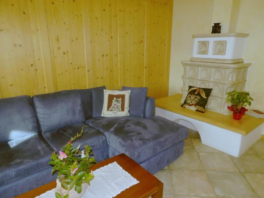 Apartamento Ciasa Gran Panorama Moena Exterior foto